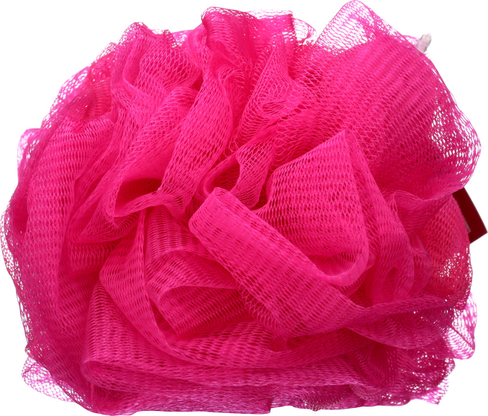 EARTH THERAPEUTICS: Sponge Body with Strap, 1 ea - Vending Business Solutions