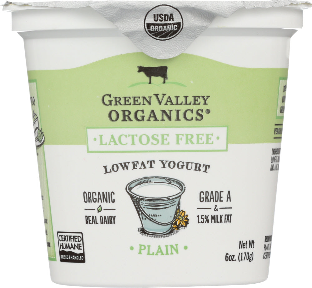 GREEN VALLEY ORGANICS: Yogurt Low Fat Lactose Free Plain, 6 oz - Vending Business Solutions