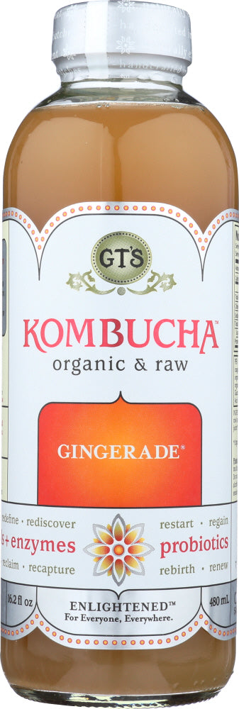GT'S ENLIGHTENED KOMBUCHA: Enlightened Kombucha Gingerade, 16 oz - Vending Business Solutions
