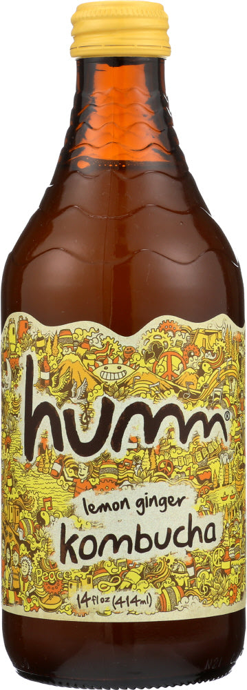 HUMM: Kombucha Lemon Ginger, 14 fo - Vending Business Solutions