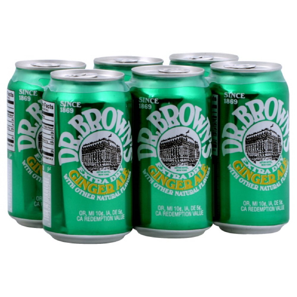 DR BROWNS: Ginger Ale Soda 6-12oz, 72 oz - Vending Business Solutions