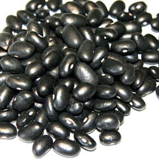 BULK BEANS: Black Bean Turtle, 25 lb - Vending Business Solutions