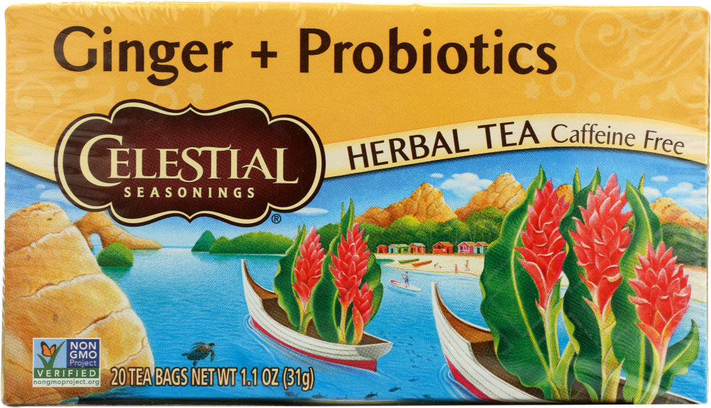 CELESTIAL SEASONINGS: Ginger Probiotic Herbal Tea Pack of 20, 1.1 oz - Vending Business Solutions