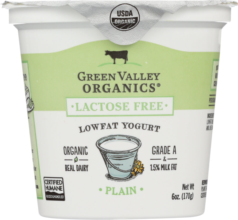 GREEN VALLEY ORGANICS: Yogurt Low Fat Lactose Free Plain, 6 oz - Vending Business Solutions