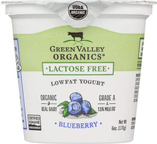 GREEN VALLEY ORGANICS: Yogurt Low Fat Lactose Free Blueberry, 6 oz - Vending Business Solutions