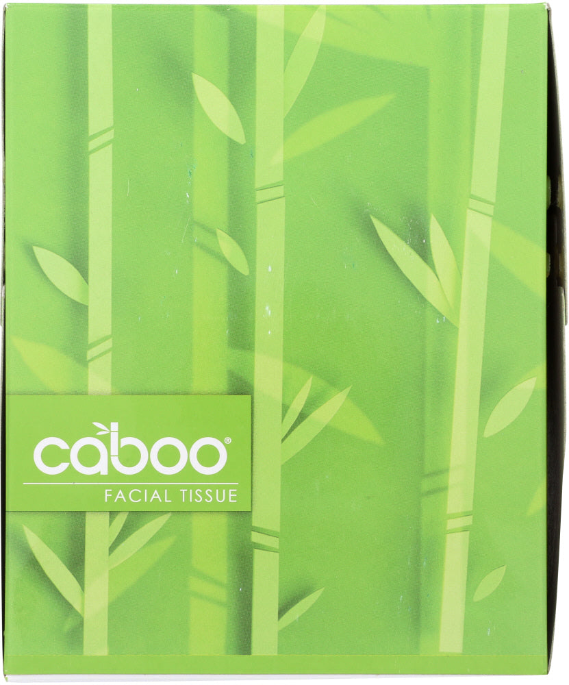 Caboo 2-Ply Facial Tissue Cube 90 Sheets, 1 Ea - Vending Business Solutions