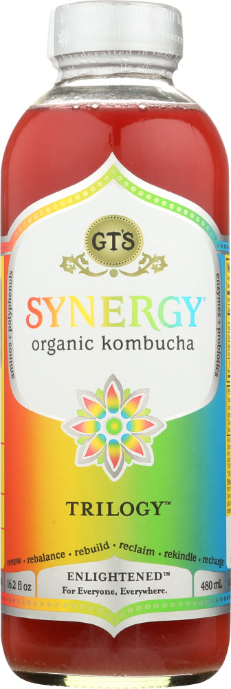 GTS ENLIGHTENED: Kombucha Enlightened Synergy Trilogy Drink, 16 fl oz - Vending Business Solutions