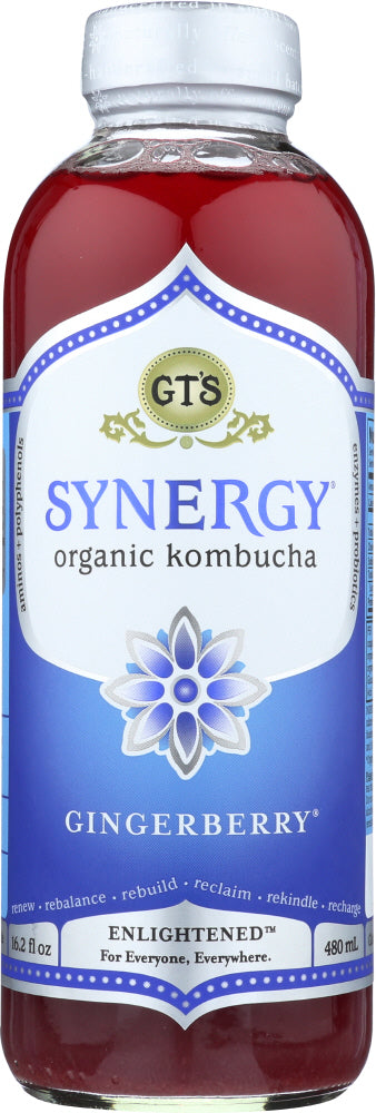 GT'S ENLIGHTENED KOMBUCHA: Synergy Gingerberry, 16 oz - Vending Business Solutions