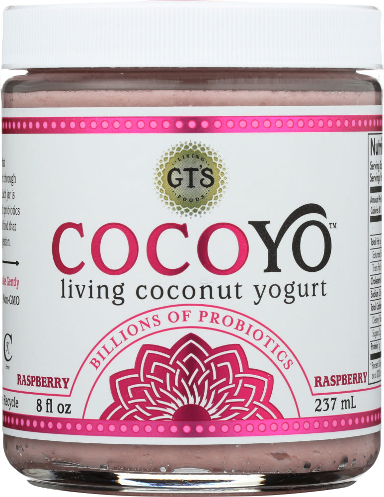 COCOYO: Raspberry Yogurt, 8 oz - Vending Business Solutions