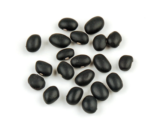 BULK BEAN: Black Turtle Organic, 25 lb - Vending Business Solutions