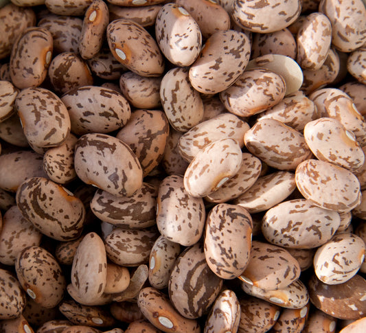 BULK BEANS: Organic Pinto Beans, 25 lb - Vending Business Solutions