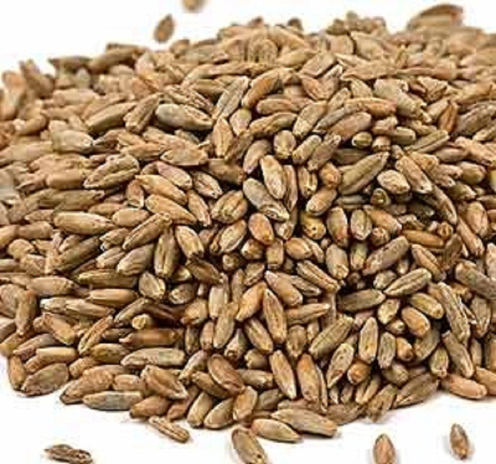 BULK GRAINS: Grain Organic Rye Berries, 25 lb - Vending Business Solutions