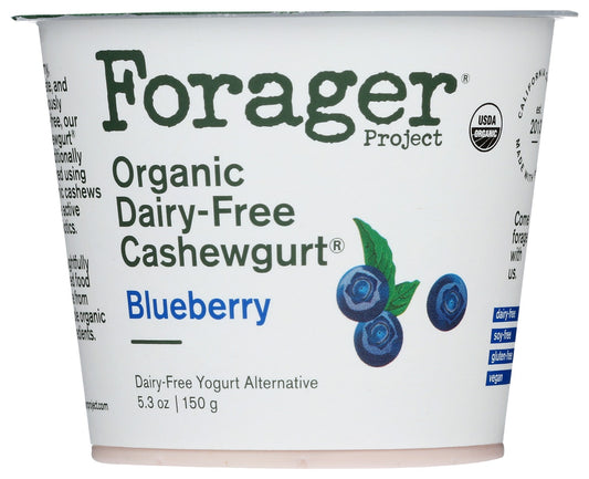 FORAGER: Blueberry Organic Cashewgurt, 5.30 oz - Vending Business Solutions